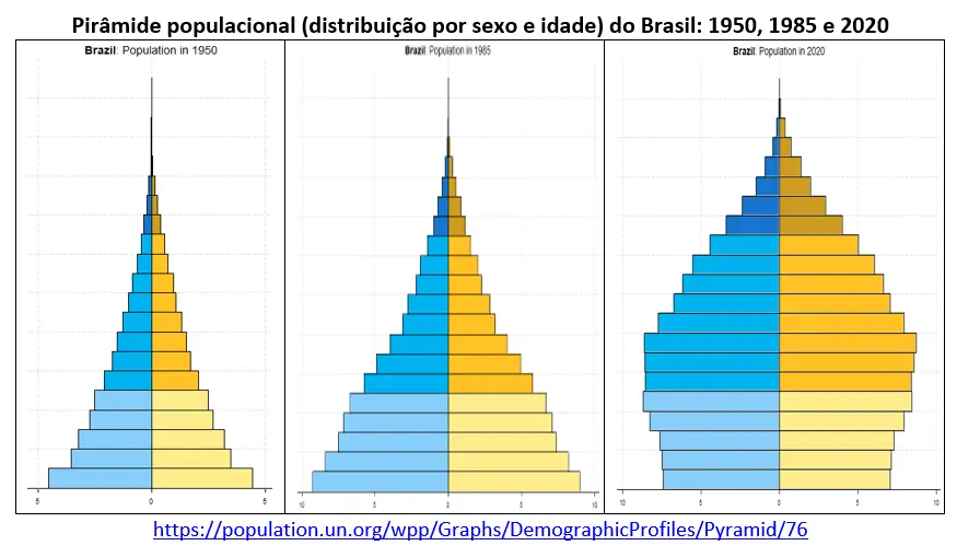 Pirâmide populacional